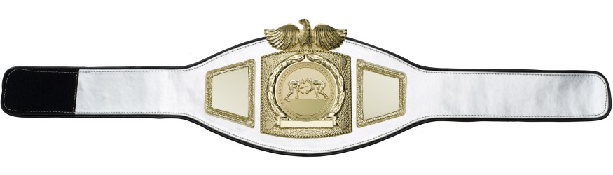 PROEAGLE GRAPPLING CHAMPIONSHIP BELT - PROEAGLE/G/GRAPG - AVAILABLE IN 6+ COLOURS PROEAGLE GRAPPLING CHAMPIONSHIP BELT - PROEAGLE/G/GRAPG - AVAILABLE IN 6+ COLOURS